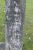 Grafsteen Albertje van Boven (b1856)